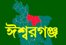 *গলায় বাঁশ ঢুকে স্কুলছাত্রের মৃত্যু*