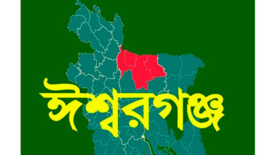 *গলায় বাঁশ ঢুকে স্কুলছাত্রের মৃত্যু*